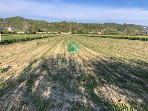 Tokë në shitje në Pezë, Tiranë – 8426 m² me potencial investimi